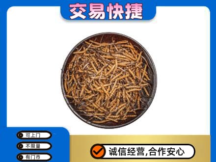 甘南县回收散虫草